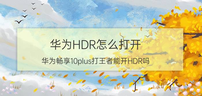 华为HDR怎么打开 华为畅享10plus打王者能开HDR吗？